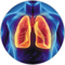 Starostlivosť o pľúca s prírodnými doplnkami | HarmonyNature.sk 