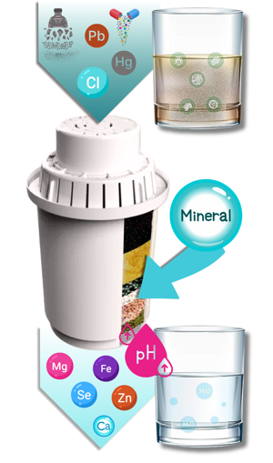 Fukncia alkalického filtra