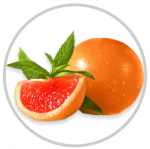 Grapefruitové jadierko extrakt proti baktériám, vírusom, plesniam, kvasinkám