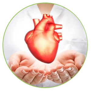 Máj ► Ako posilniť zdravie srdca