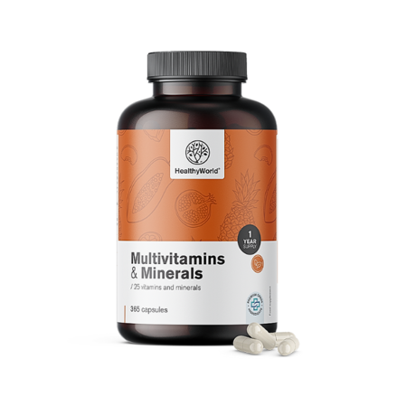 Multivitamíny & minerály • Imunita Energia 365kps