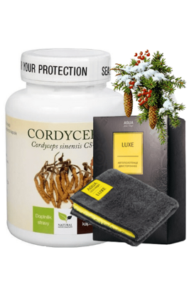 Cordyceps sinensis Premium • Podpora sily, energie a vytrvalosti 90kps