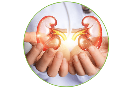 Február ► Ako posilniť zdravie obličiek