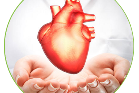 Máj ► Ako posilniť zdravie srdca